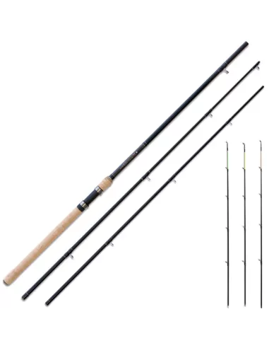 Canna da ledgering - Heavry Feeder Canne da pesca Lineaeffe