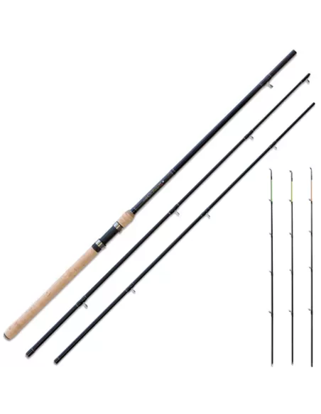 Canna da ledgering - Heavry Feeder Canne da pesca Lineaeffe