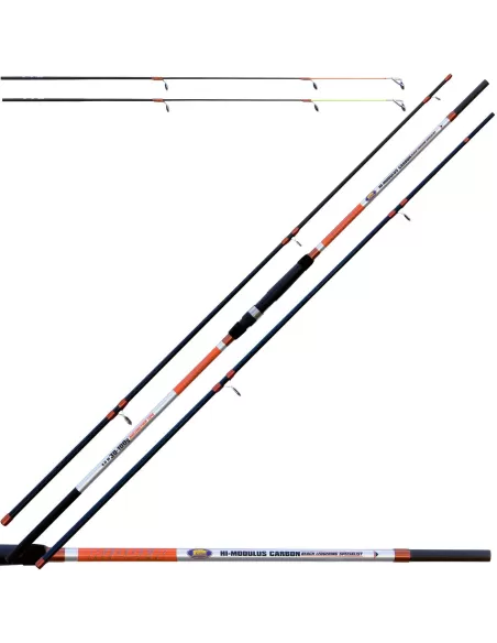 Canna da Beach ledgering - Ripper Canne da pesca Lineaeffe