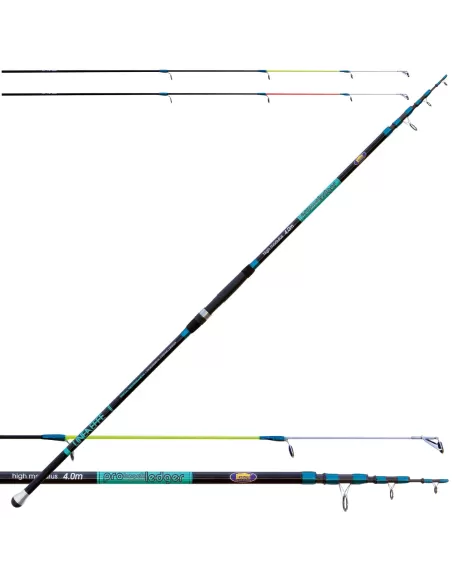 Canna da Beach ledgering - Pro Beach Canne da pesca Lineaeffe