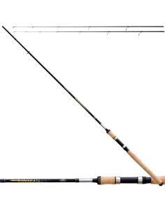 Lineaeffe Twins Action Fishing Rod Spinning 