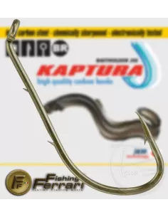 Ami kaptura anguilla Ami sfusi Lineaeffe