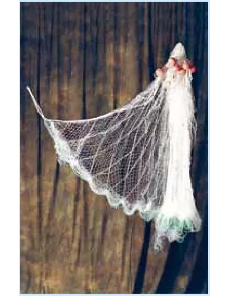 Professional become entangled fishing net