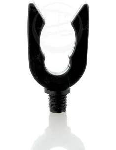 Posterior pole ECO 