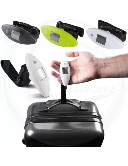 Portable scale