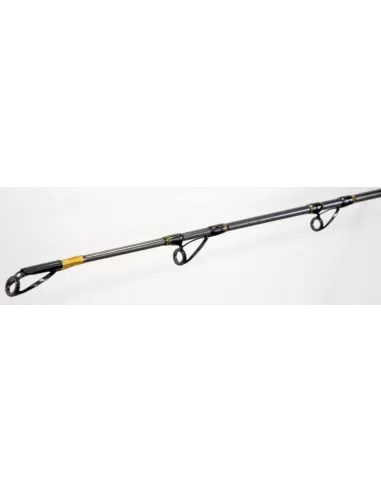 Canna da pesca - CarborexBoat Mare Lineaeffe
