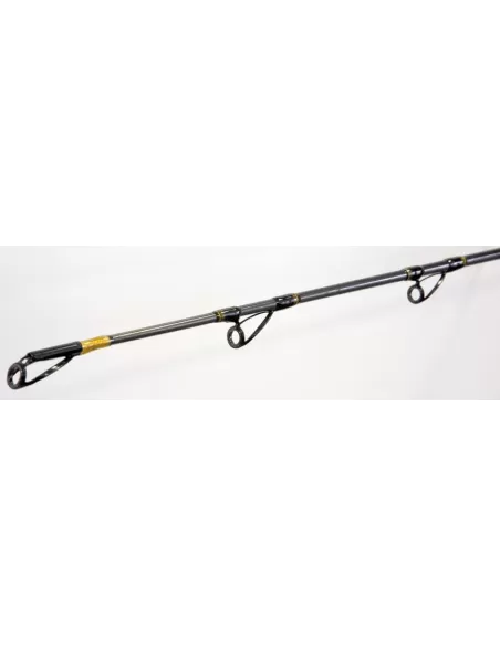 Canna da pesca - CarborexBoat Mare Lineaeffe