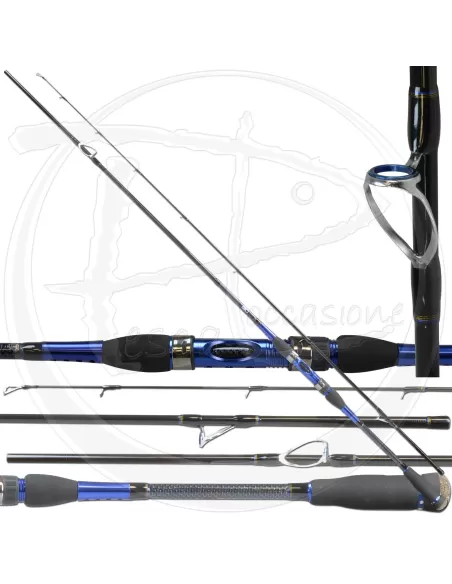 Canna da spinning Scorpion Canne da pesca Sele
