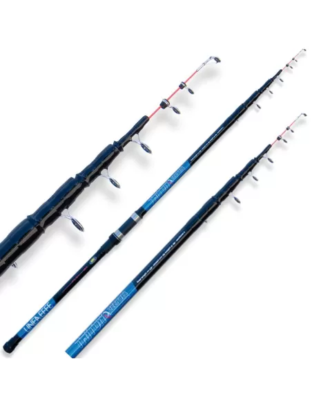 Canna triton deep sea da Barca Bolentino Canne da pesca Lineaeffe