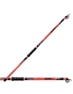 Reed carbon thunder 3.60 mt 120 gr 