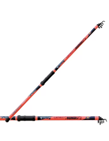Canna carbon thunder 3.60 mt 120 gr Canne da pesca Lineaeffe