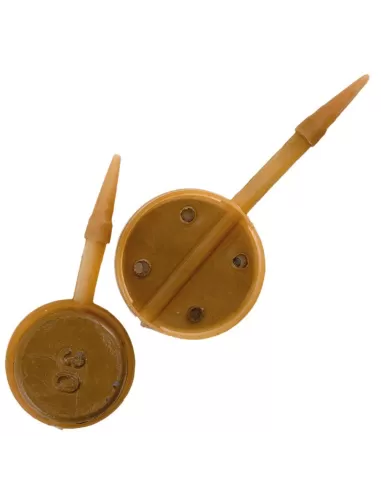 Pasturatore cap feeder in line 2pz Pasturatori Team Specialist