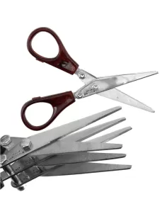 Multiple scissors cut sardines 