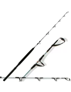 Canna da pesca trainetta sottocosta 8-16 lbs Canne da pesca Lineaeffe