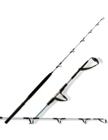 Canna da pesca trainetta sottocosta 8-16 lbs Canne da pesca Lineaeffe