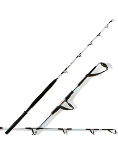 Canna da pesca trainetta sottocosta 8-16 lbs Canne da pesca Lineaeffe