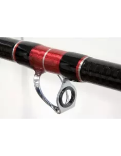 Canna da pesca - Electric reel special Mare Lineaeffe 2