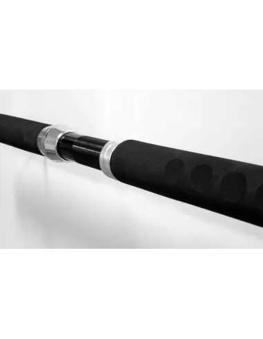 Canna da pesca - Electric reel special