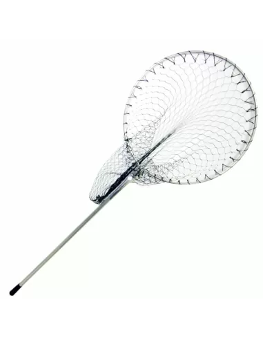 Guadino Mare Testa Tonda Special Boat testa 50 cm Guadini Kolpo