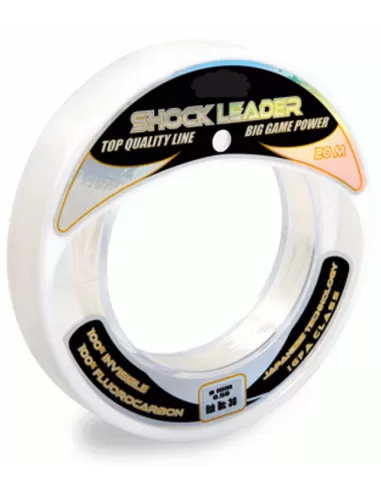 Bobina 100% Fluorocarbon Big Game 20 mt Da Finale Fili da pesca Lineaeffe