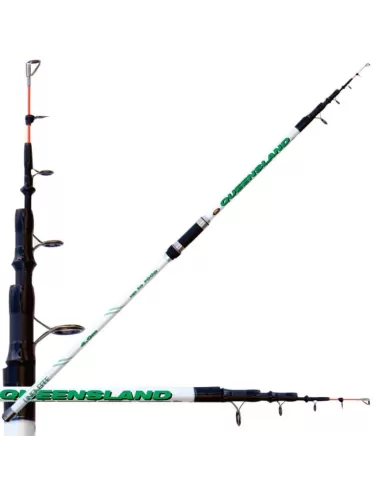 Lineaeffe Canna Queenland Azione 100 gr Beach Legering Canne da pesca Lineaeffe