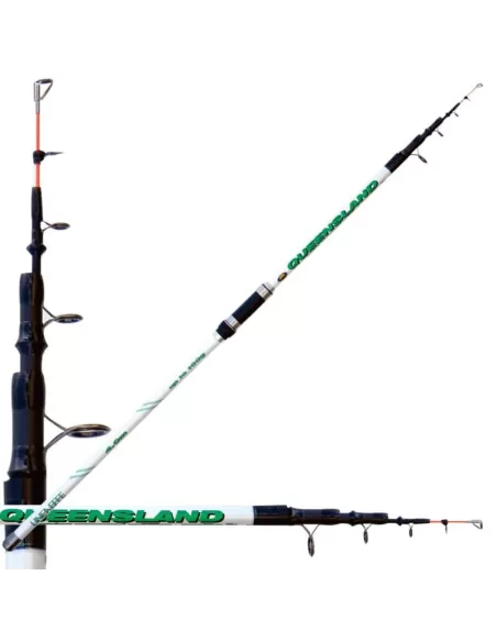 Lineaeffe Canna Queenland Azione 100 gr Beach Legering Canne da pesca Lineaeffe