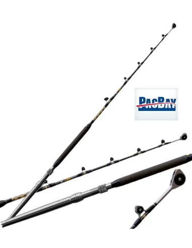 Fishing Ferrari Canna St Lucia Trolling Con Anelli Pacific Bay Canne da pesca Fishing Ferrari