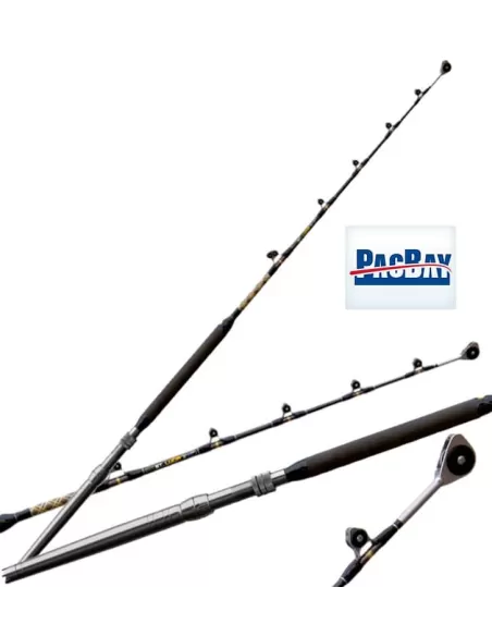 Fishing Ferrari Canna St Lucia Trolling Con Anelli Pacific Bay Canne da pesca Fishing Ferrari