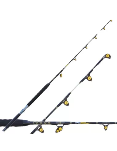 Fishing Ferrari Canna Islamorada Trolling Canne da pesca Fishing Ferrari