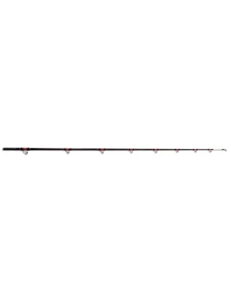 Canna da pesca - Electric reel special Mare Lineaeffe