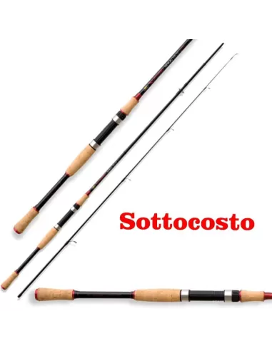Canna Da Spinning in Carbonio 3 mt Azione 30 gr Canne da pesca Lineaeffe