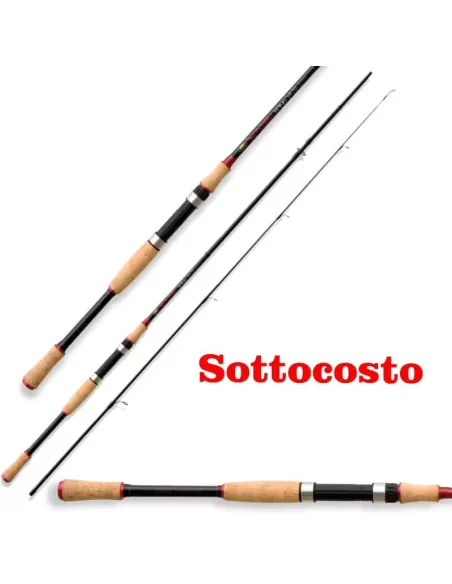Canna Da Spinning in Carbonio 3 mt Azione 30 gr Canne da pesca Lineaeffe