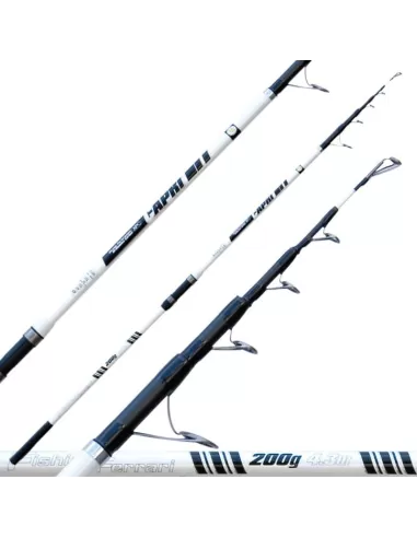 Fishing Ferrari Canna Capri In Carbonio Alto Modulo 200 gr Surfcasting Canne da pesca Fishing Ferrari