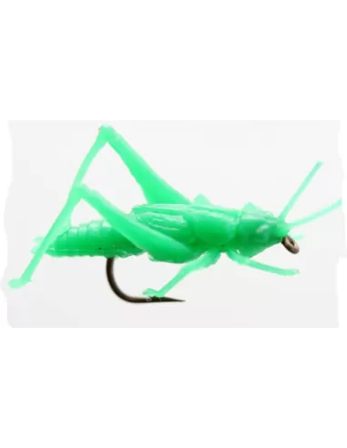 Artificiale Cavalletta Con Amo 2 cm Pesca a mosca Altro