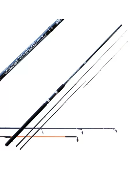 Team Specialist Canna Ts Project Barbel Doppia Azione Canne da pesca Team Specialist