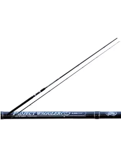 Team 28-43 grams Waggler Rod Ts Project Specialist 