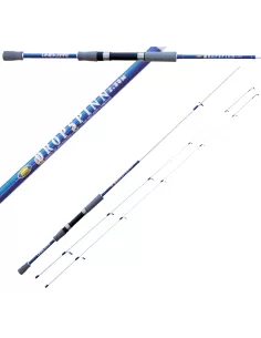 Lineaeffe Canna Drop Spinn Doppia Vetta Spinning Canne da pesca Lineaeffe