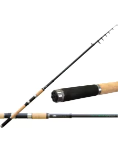 Canna Telescopica Perch Telespin 20-40 gr Canne da pesca Lineaeffe