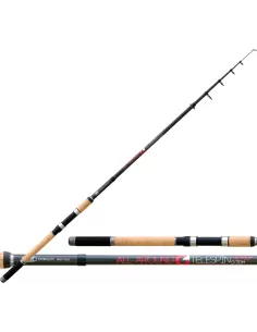 Telescopic Rod 30-60 gr Telespin Allround 