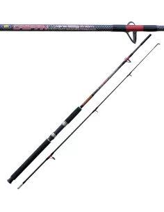Caspian Action Fishing Rod 100 - 250g 