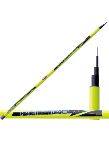 Canna da Pesca Fissa Fiorentina Rapida Carbon Pole Canne da pesca Lineaeffe