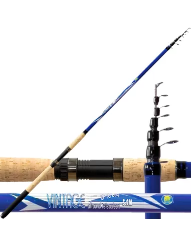 Canna Telescopica Vintage Allround Azione 80 Grammi Canne da pesca Lineaeffe