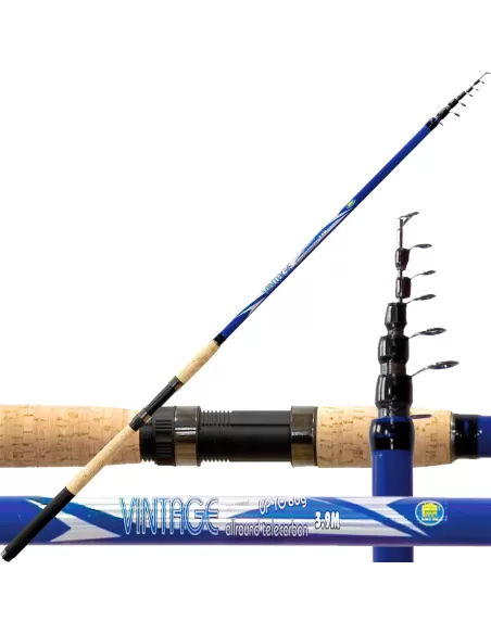 Canna Telescopica Vintage Allround Azione 80 Grammi Canne da pesca Lineaeffe