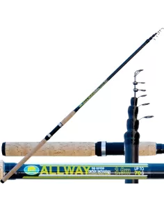 Canna Da Pesca Allway in carbonio Potenza 70 Gr Canne da pesca Lineaeffe