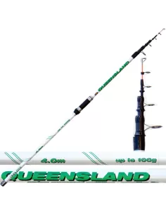 Canna da Pesca Beach Ledgering Queensland 100 grammi Canne da pesca Lineaeffe