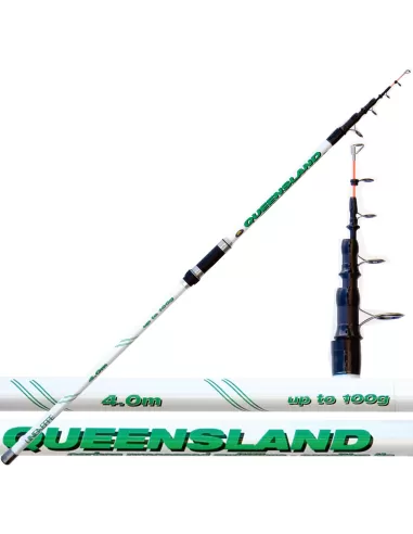 Canna da Pesca Beach Ledgering Queensland 100 grammi Canne da pesca Lineaeffe