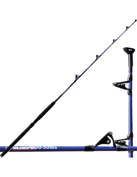 Canna da Pesca Traina Carrucolata Bluefin Canne da pesca Lineaeffe