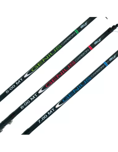 Canne da pesca Bolognesi In Carbonio Genius 5mt Canne da pesca Sele
