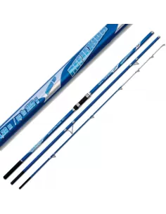 Canna da Pesca Surf Casting 250 gr Reflexion Lineaeffe Canne da pesca Lineaeffe