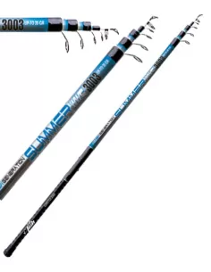 Canne da Pesca Bolognesi Summer Canne da pesca Sele